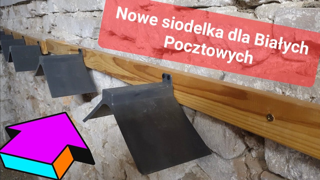 Montuję nowe siodełka dla gołębi 14.12.2024