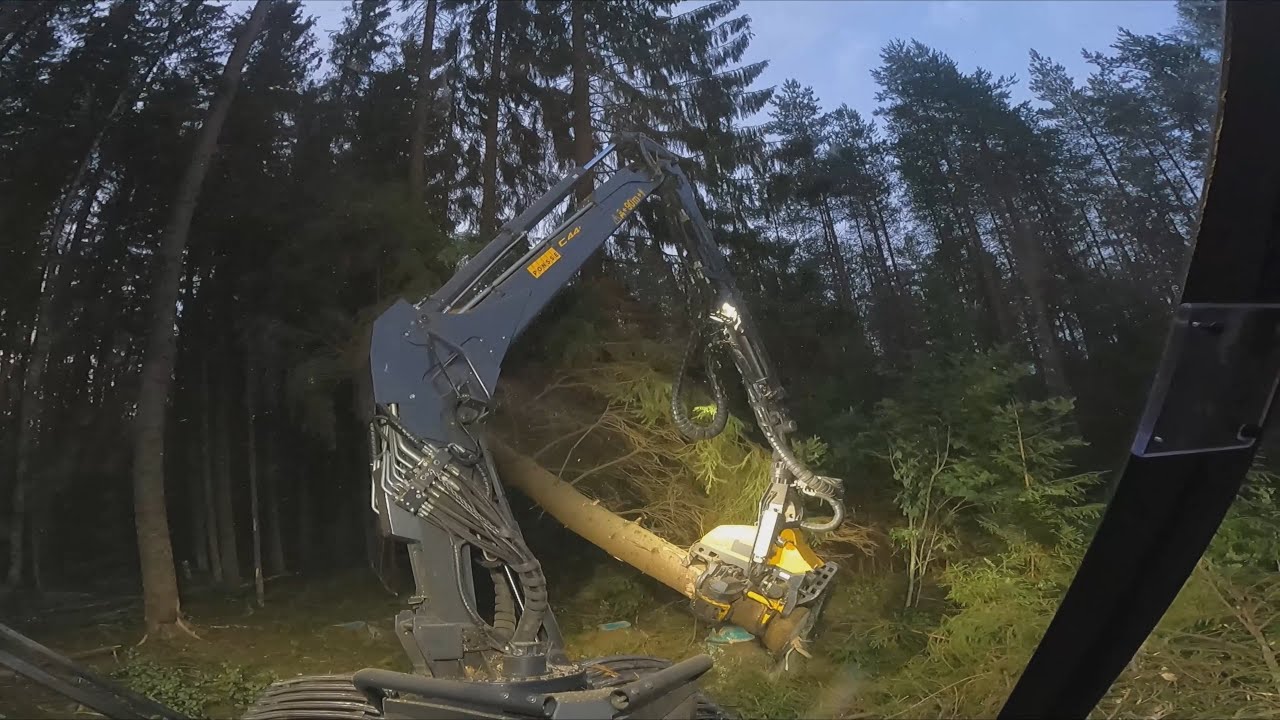 Melkoista viidakko kuusi avohakkuuta Ergolla nurin ilta/yöstä. Ponsse Ergo AF C44+ H7.