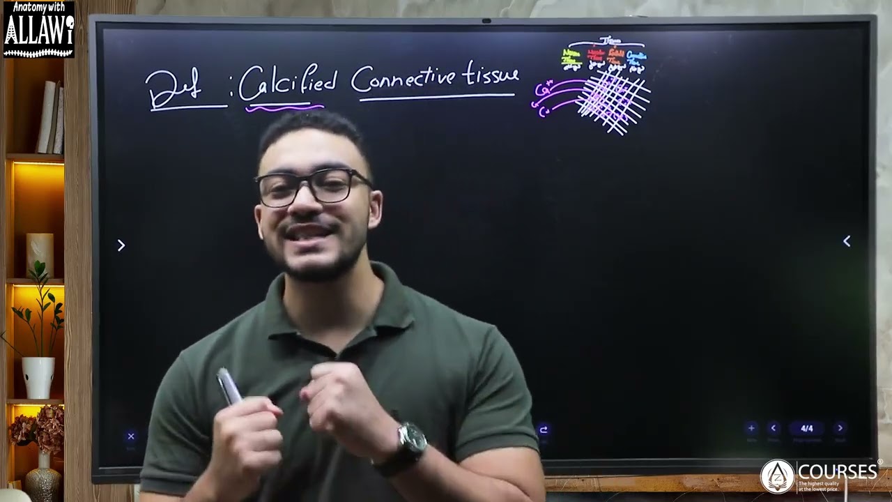 Lecture 2 Skeletal system part 1 