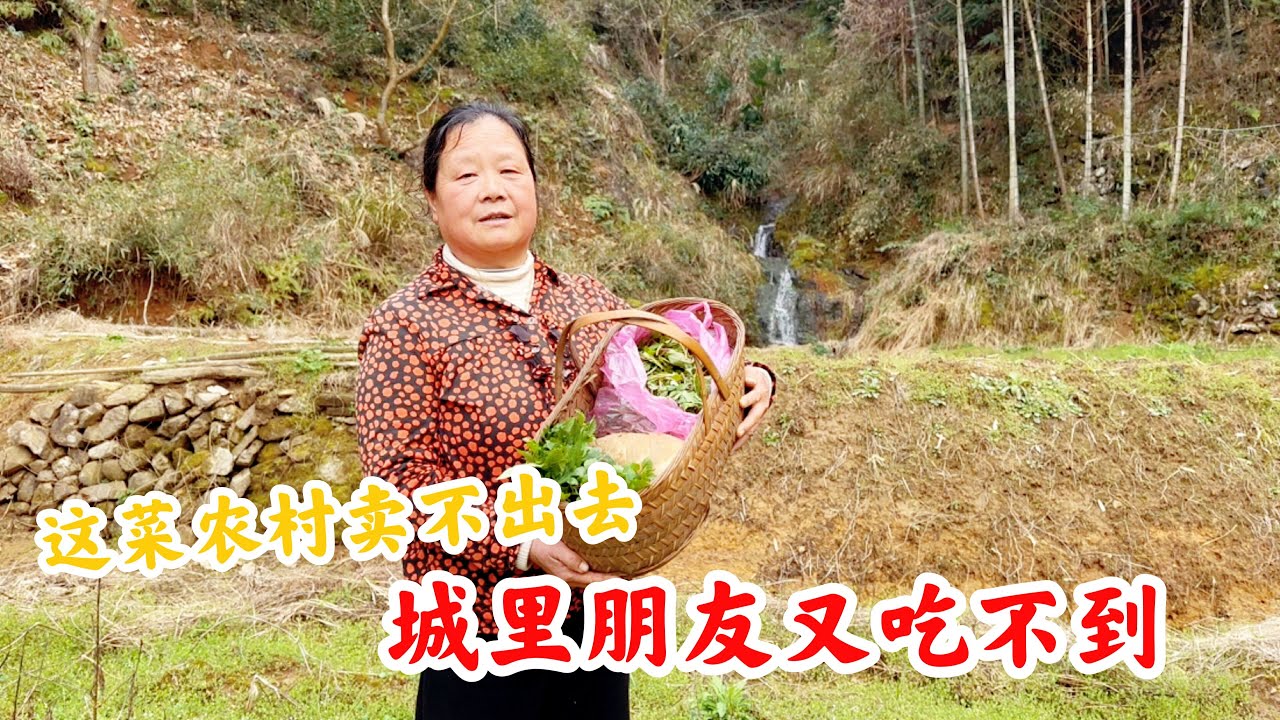 婆婆找的野菜炒什么都好吃，可惜农村卖不出去，城里朋友又吃不到