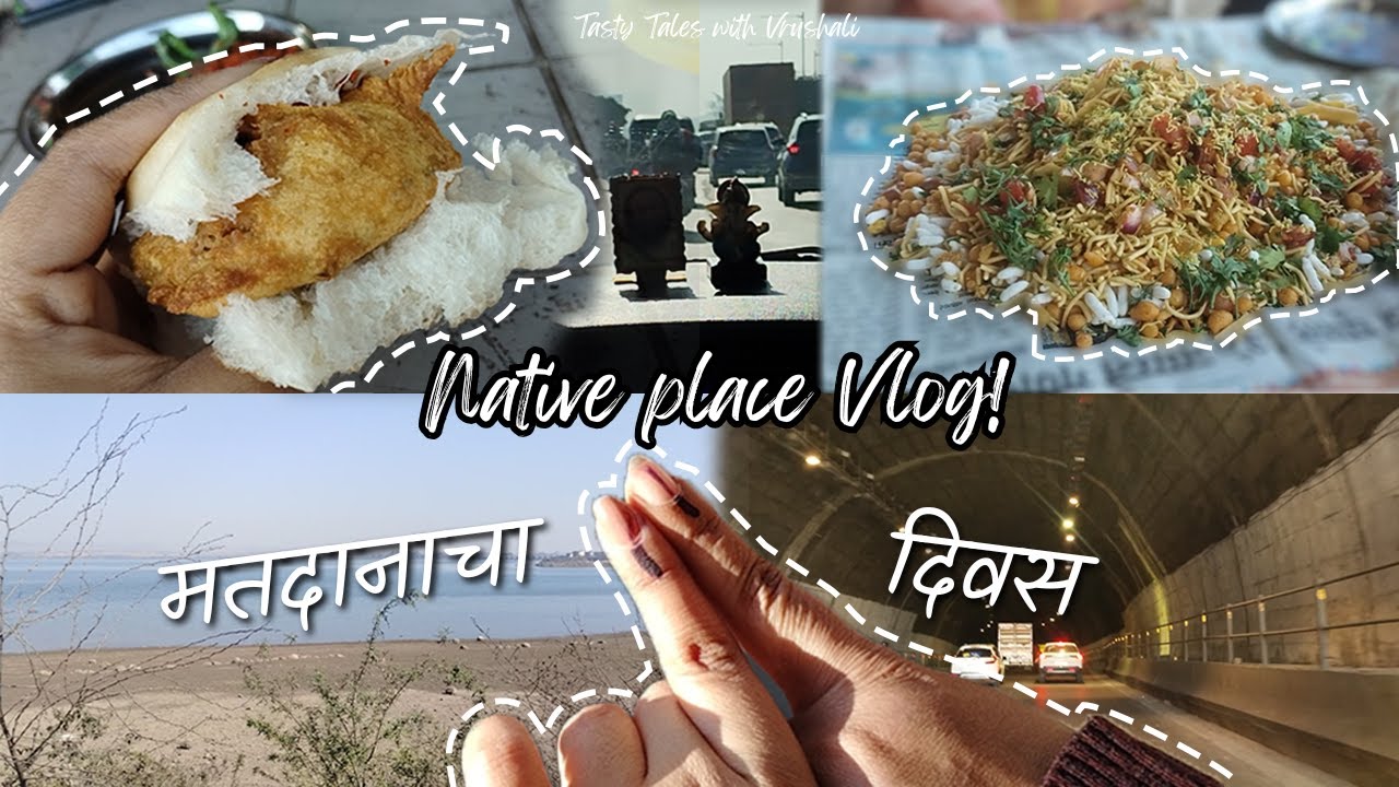 Voting साठी माझ्या गावी एक दिवसाचा प्रवास VLOG