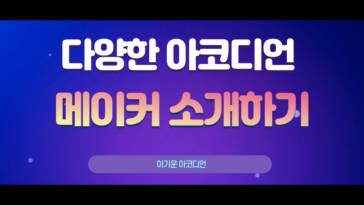 다양한 메이커의 아코디언(광고아님!)