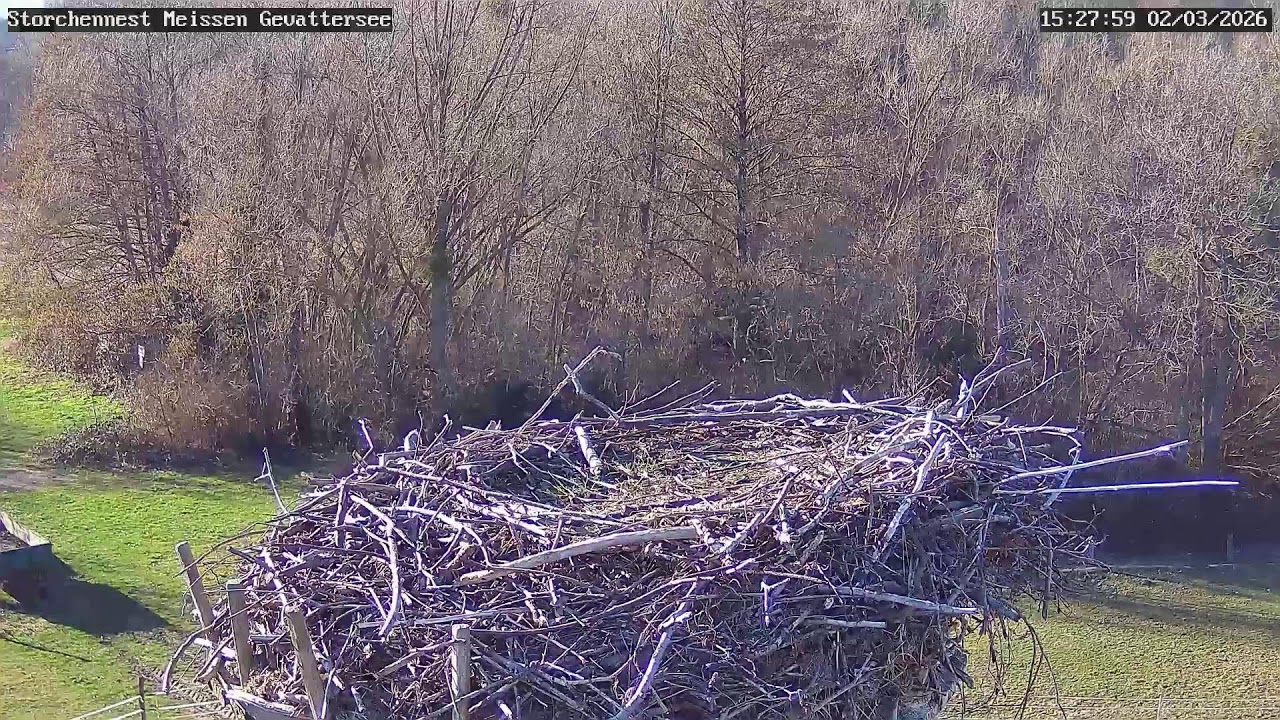 Storchennest Meißen Gevattersee