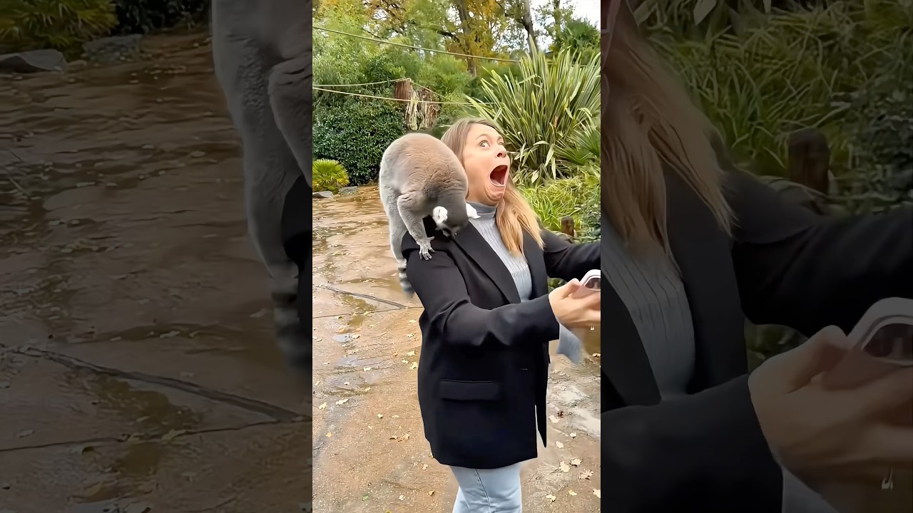Couple prank #usa #funny #prank #funnyvideos #foryou