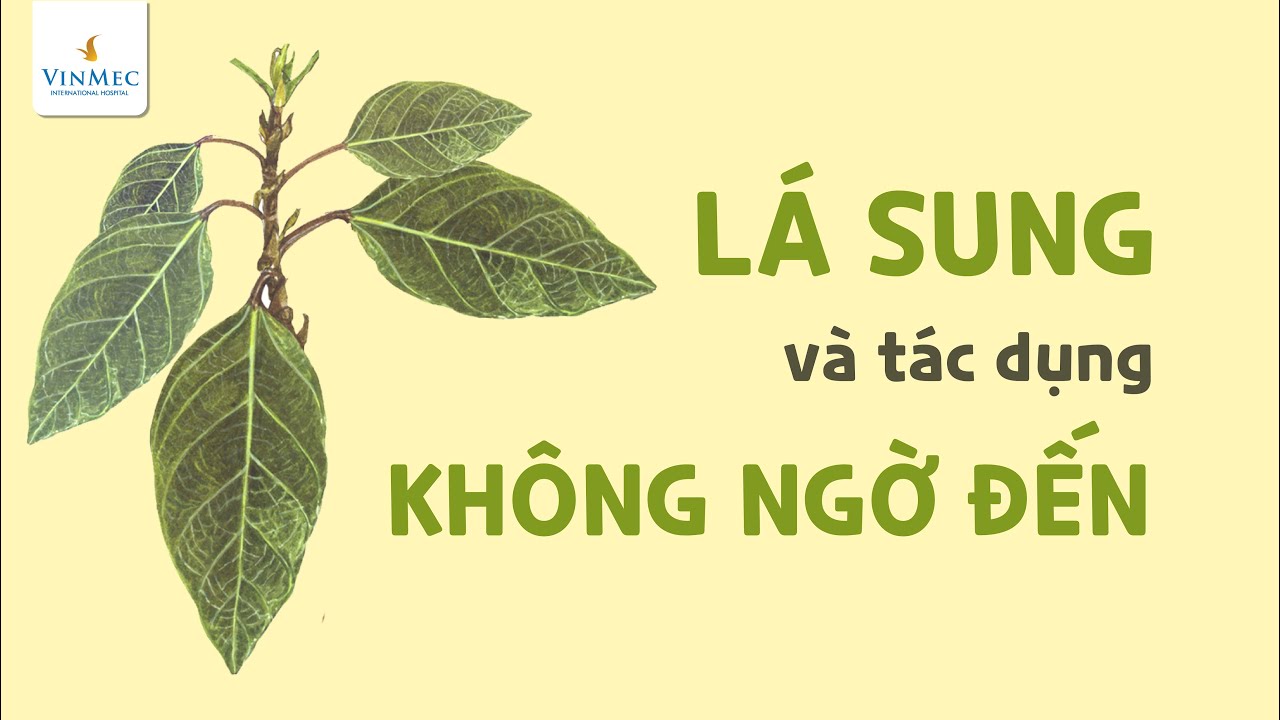 L&aacute; sung v&agrave; những t&aacute;c dụng kh&ocirc;ng ngờ đến