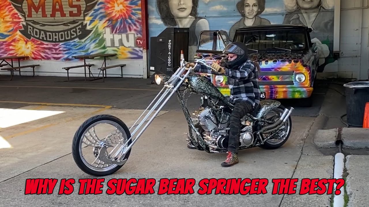 Why is the Sugar Bear Springer the Best? 🧸