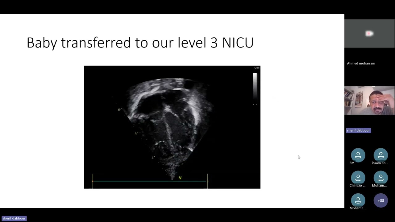 POCUS: Life-Saving Applications in Neonatology