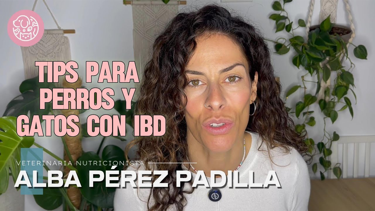 IBD EN PERROS TIPS Y ALIMENTACIÓN