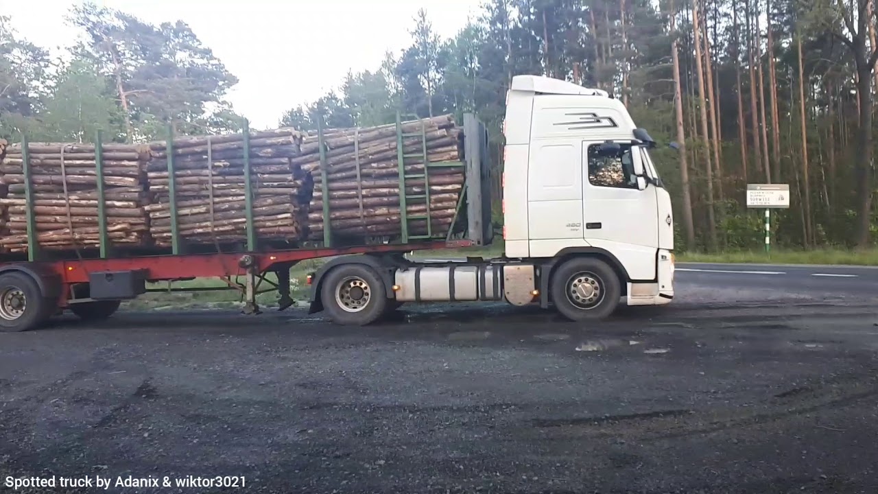 Patora Transport - Wyw&oacute;zka drewna z lasu -