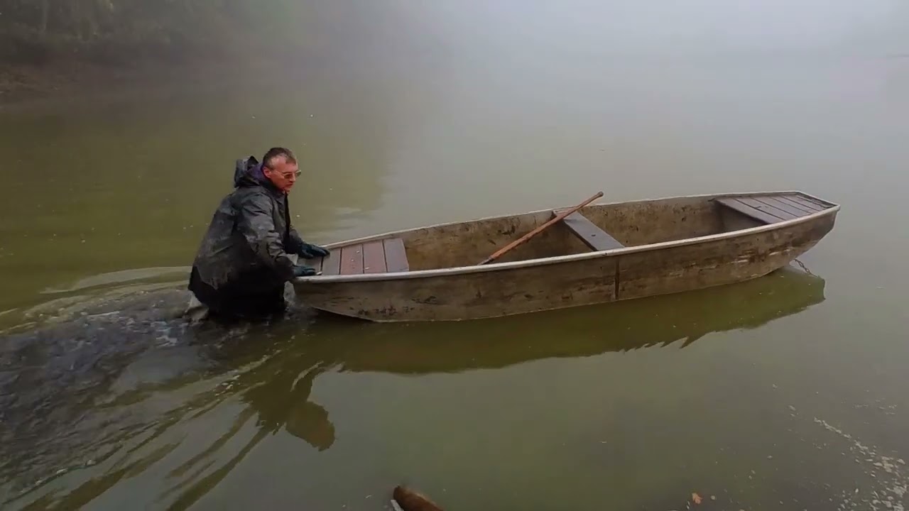 Výlov Bohdanečského rybníku 2022 / Fishing pond fishing 2022