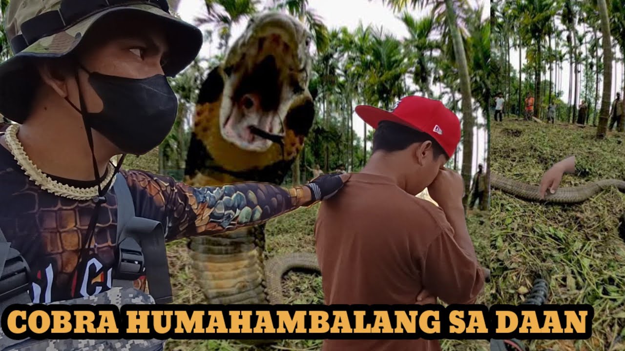MAPANGANIB NA MISSION SINAGASAAN PERO HINDI TUMALAB  #cobraprince #tolcobra #cobraking #cobrateam