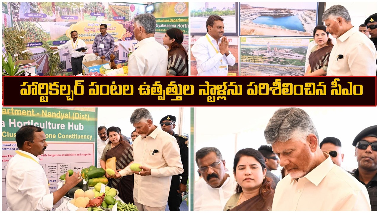 కొత్తబురుజులో హార్టికల్చర్ పంటల ఉత్పత్తుల స్టాళ్లను పరిశీలించిన సీఎం | CM Chandrababu Naidu