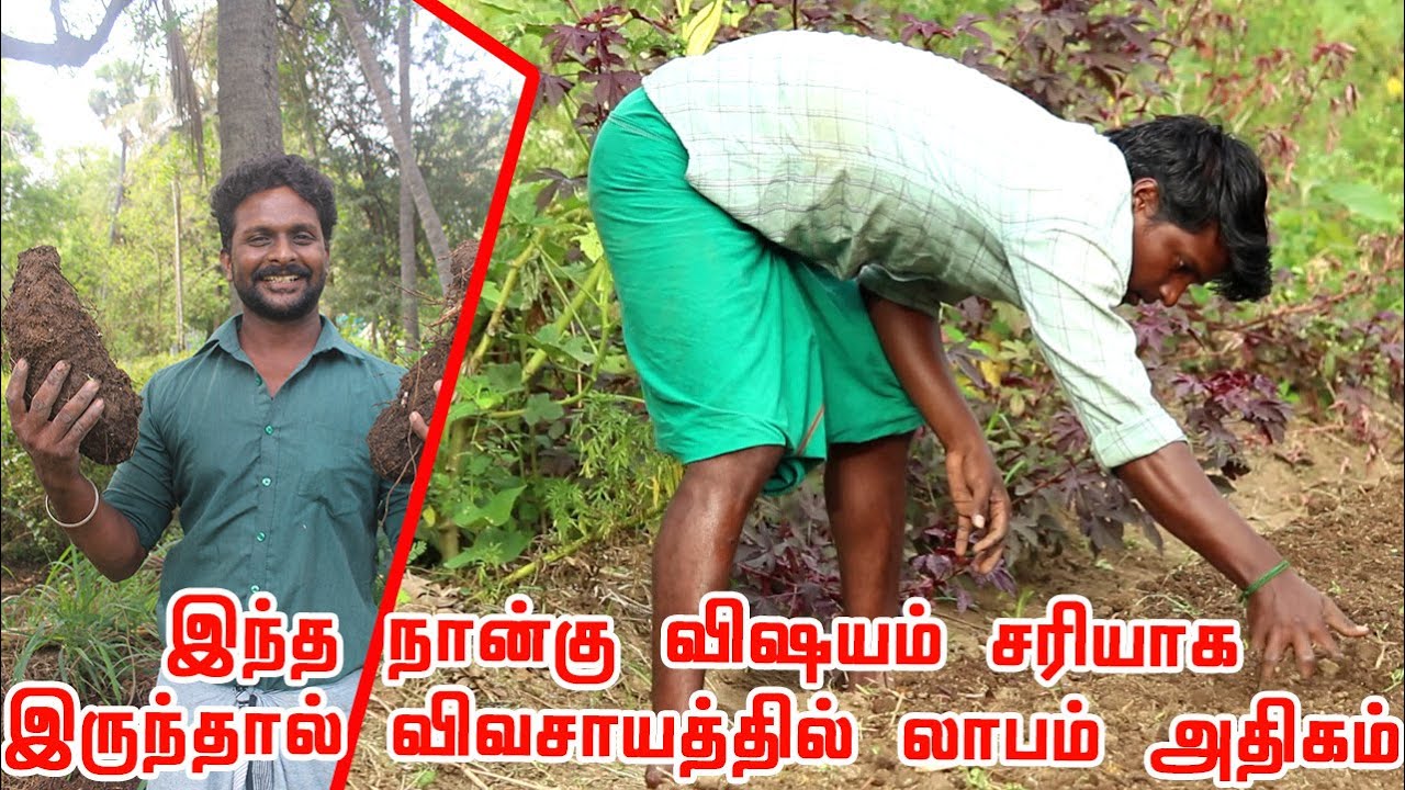 லாபகரமான முறையில் விவசாயம் செய்ய விவசாயிகள் இந்த நான்கு விஷயம் கண்டிப்பாக தெரிந்த இருக்க வேண்டும்