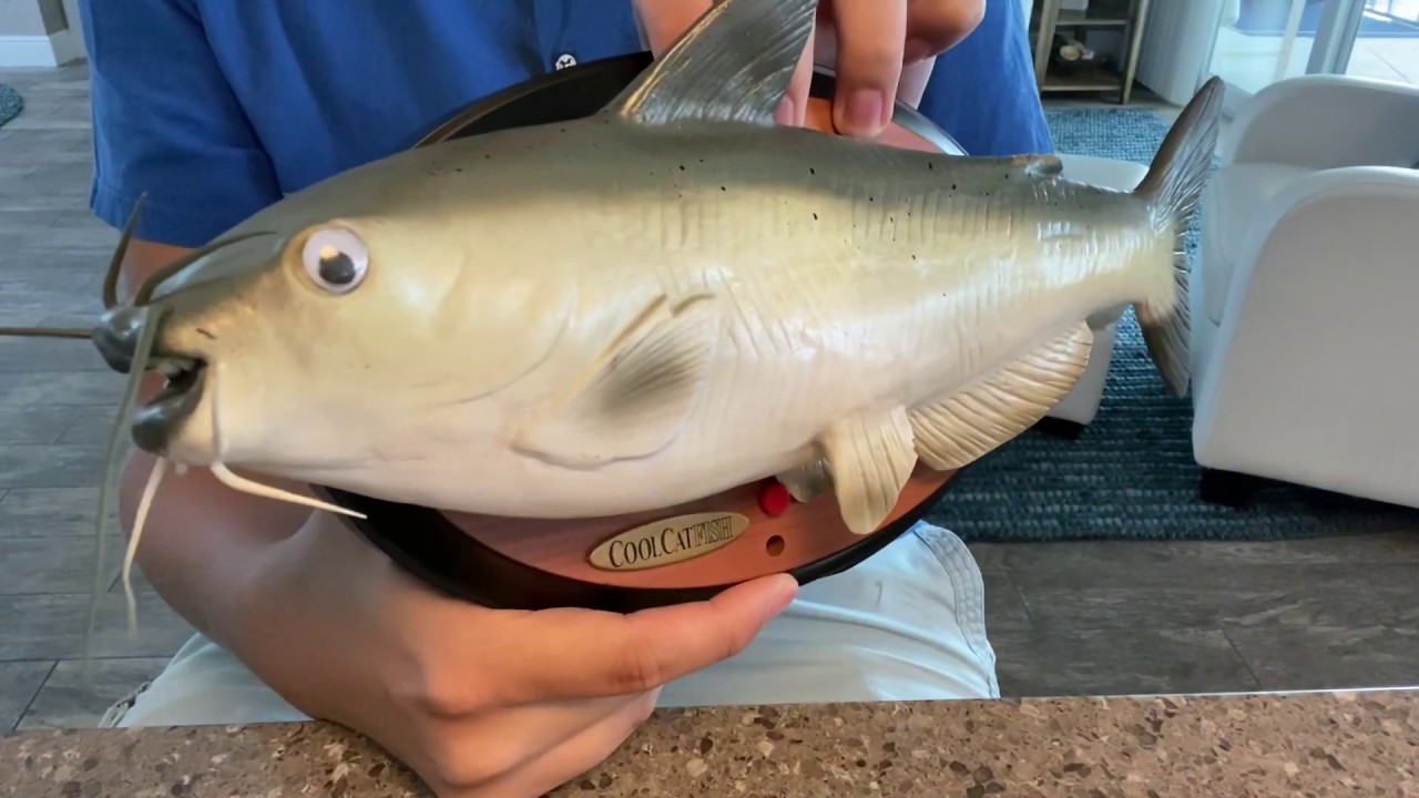 How to replace the head paddle in your singing fish mechanism