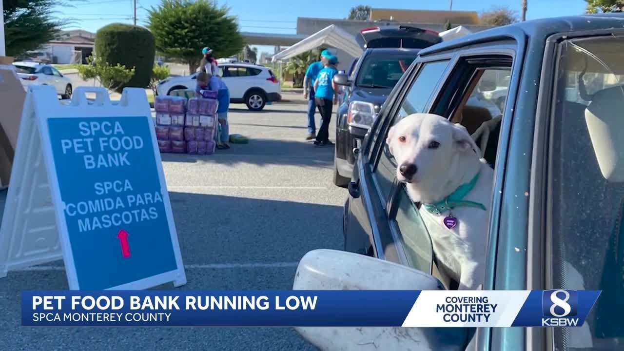 SPCA Monterey County struggles with low pet food supplies amid rising demand