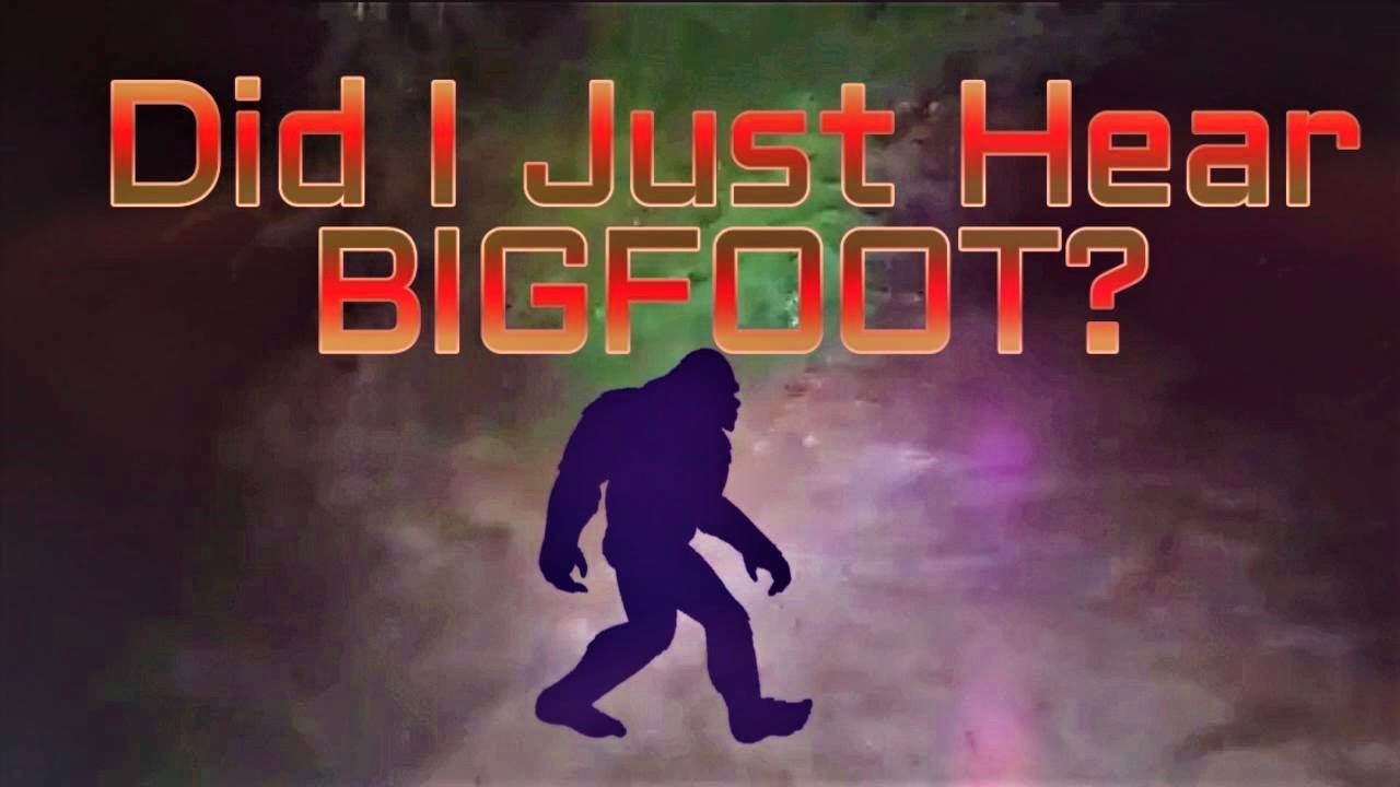 This Really Happened When I Was Alone In The Back Woods Of Alabama