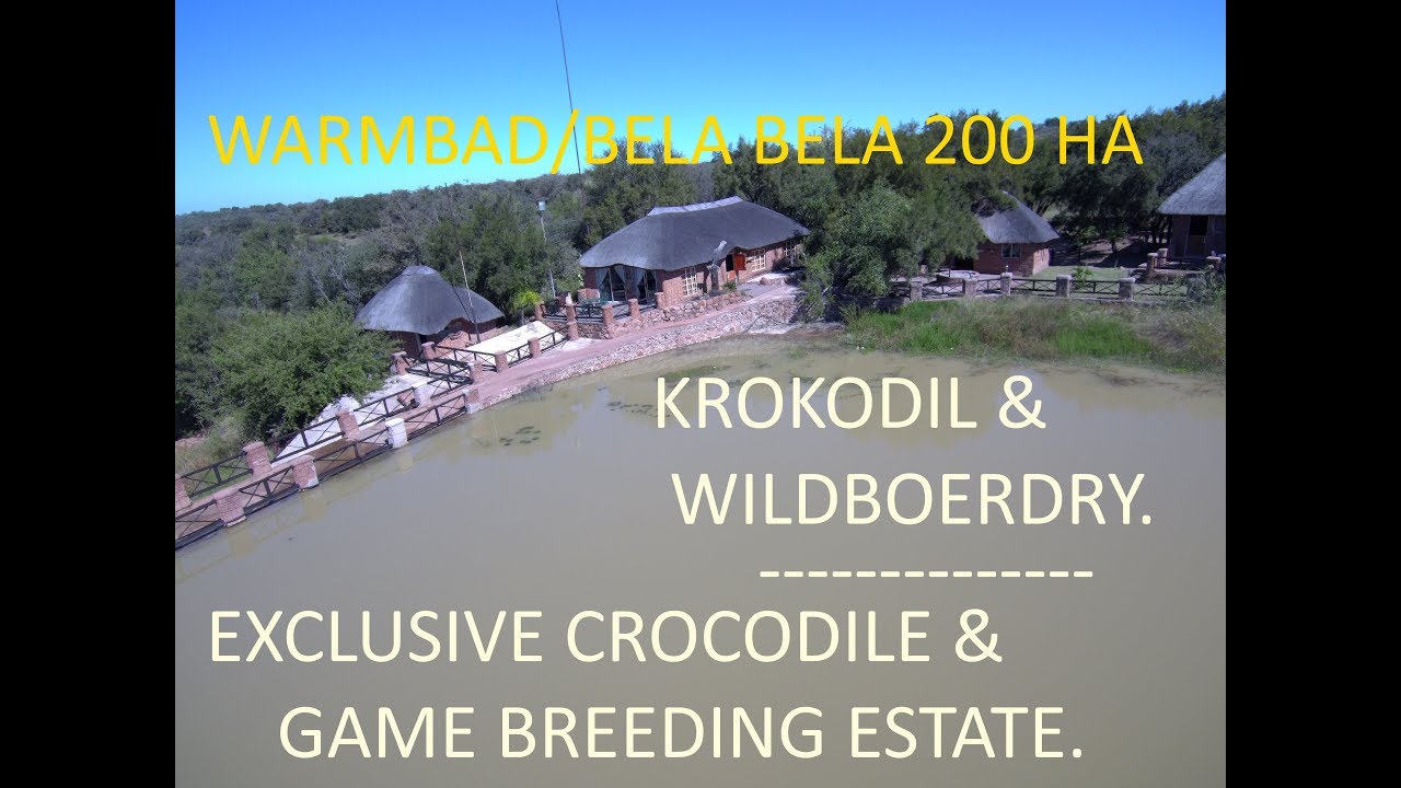 Want to see Limpopo crocodiles ?  || Game Farms For Sale