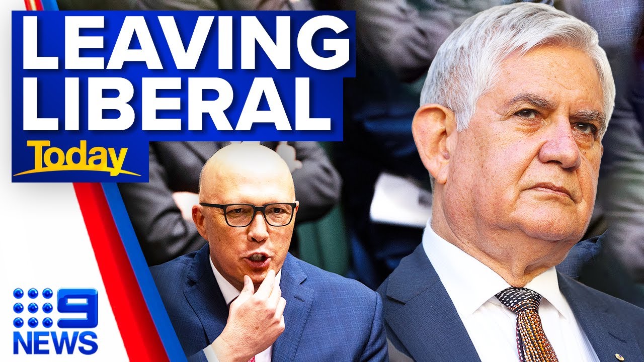 Former Indigenous Affairs Minister Ken Wyatt quits Liberal Party | 9 News Australia