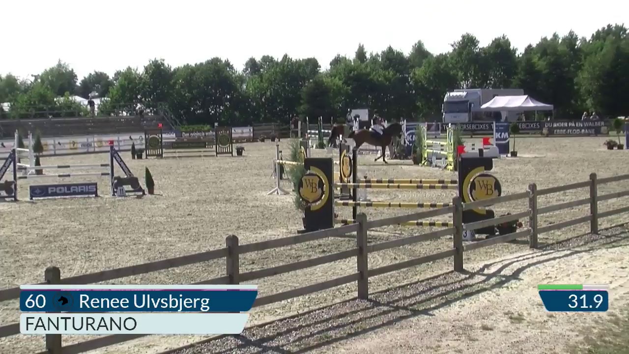 Baekgarden unghestechampionat i springning 2018 klasse 4