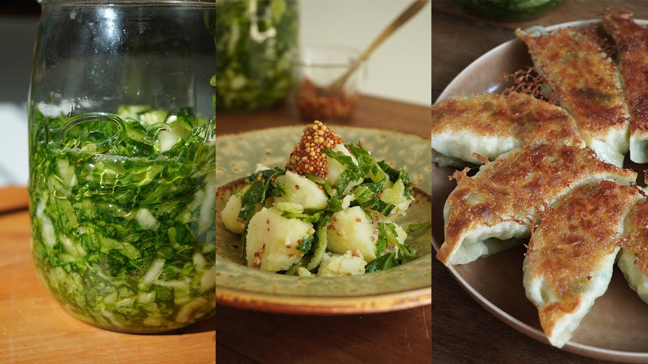 봄동 절임의 감자 샐러드와 야끼 교자ㅣ봄동을 소금에 절여 발효시키다