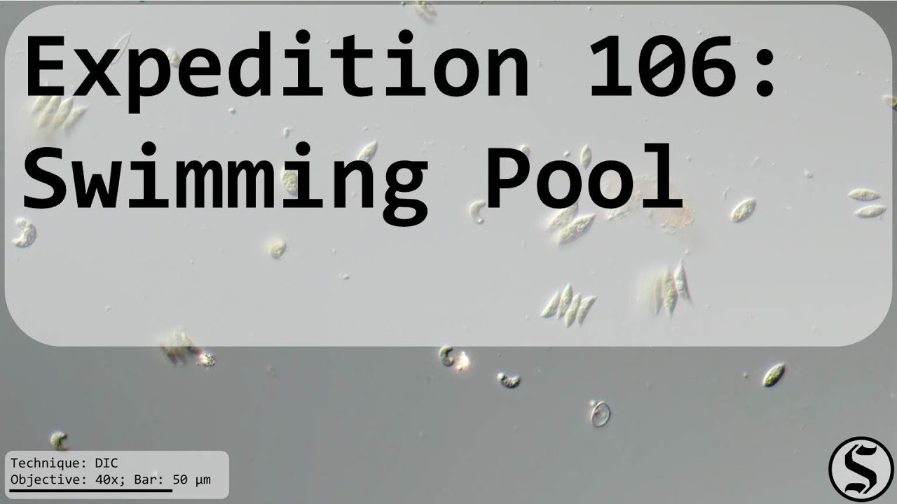 Expedition 106 - Swimming Pool