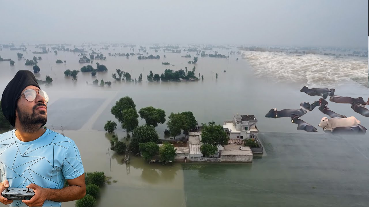 Satluj River Flood | bahut ghar dub gaye pani vich | Aaj asi kiti langar di sewa 