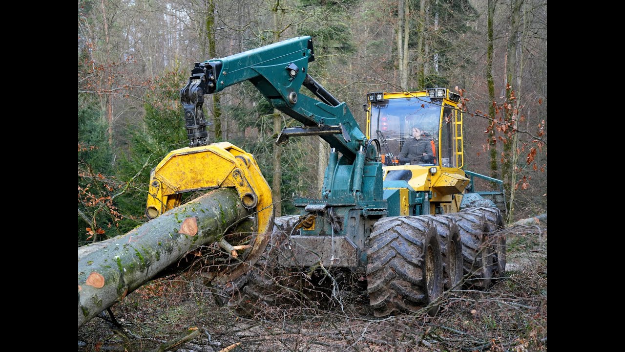 🌲HSM 8WD Zangenskidder • HSM 208Z • Skidder • Langholz Rückung • Powerful Machine🌲