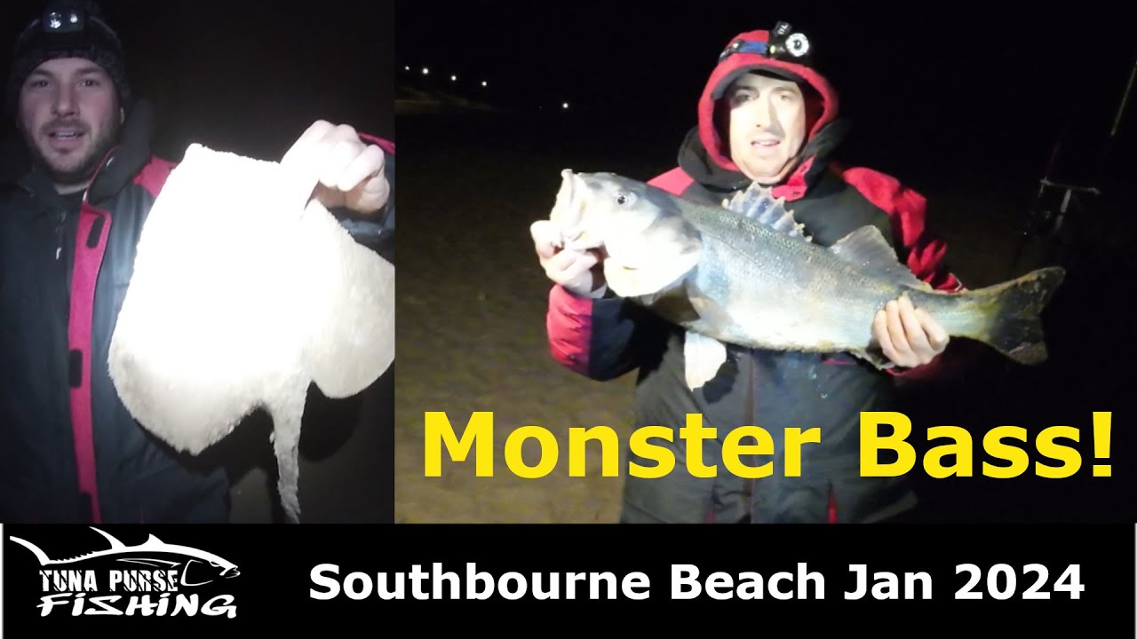 Monster Bass on Southbourne Beach! | Small eyed Rays| Tuna Purse Fishing