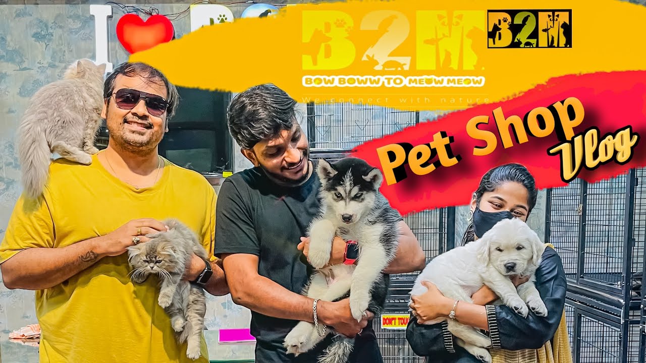 HYDERABAD BIGGEST PET SHOP VLOG | DOGS  CATS BIRDS FISH | HYPER KING