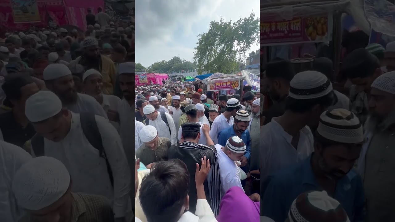 &Agrave;la Hazrat kul Sharif ❤️🤲🤲#alahazrat #trending #video #viral #shorts