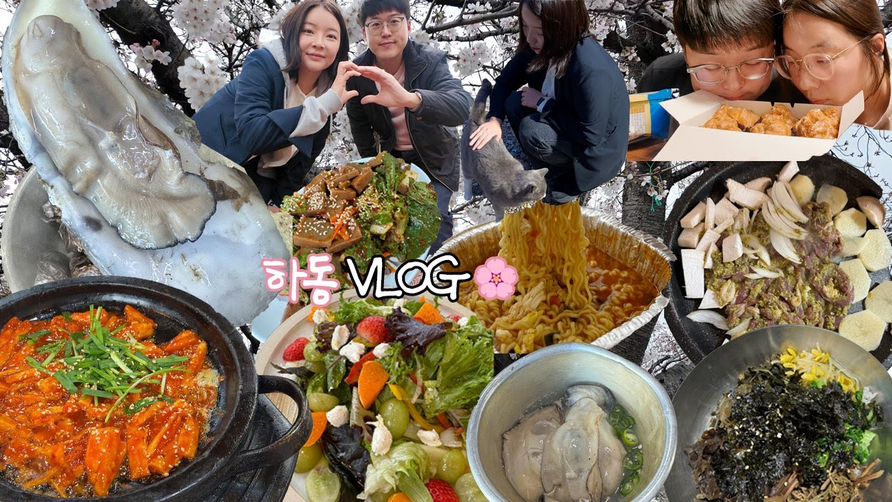 [벚굴편] 하동 벚꽃 근황🌸 인생 굴 만남🦪하동 여행 먹방브이로그 (강굴, 십리벚꽃길, 녹차오리, 밤톨 밤파이, 삼성궁, 더덕구이, 재첩국, 산채비빔밥) MUKBANG VLOG