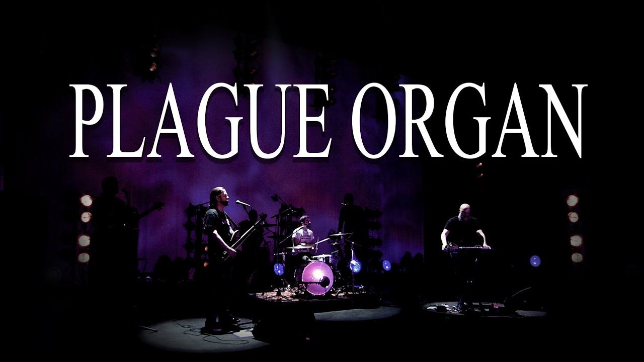 Relentless BLACK METAL Drone Music - Plague Organ performing Orphan LIVE at Roadburn Redux 2021