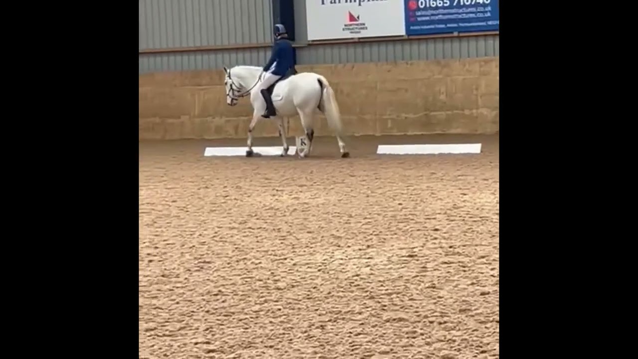 Novice 24 (2010) dressage test. 68%. West Moor Farm Equestrian