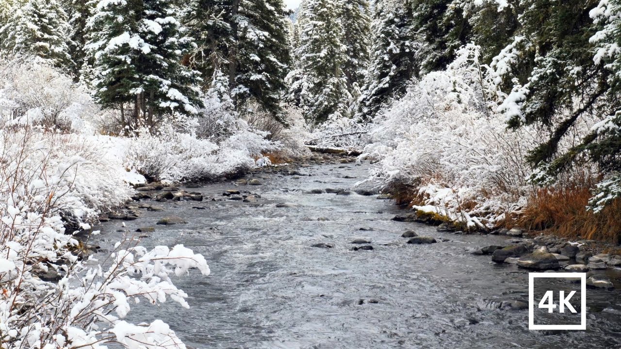 4K Snowy Winter Creek | Relaxing Winter Nature Scene | Gentle River Sounds for Sleep | White Noise