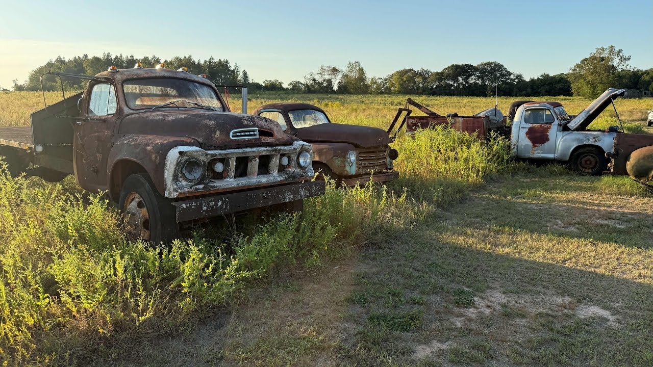 Крутые старые грузовики Studebaker, стоящие в поле.