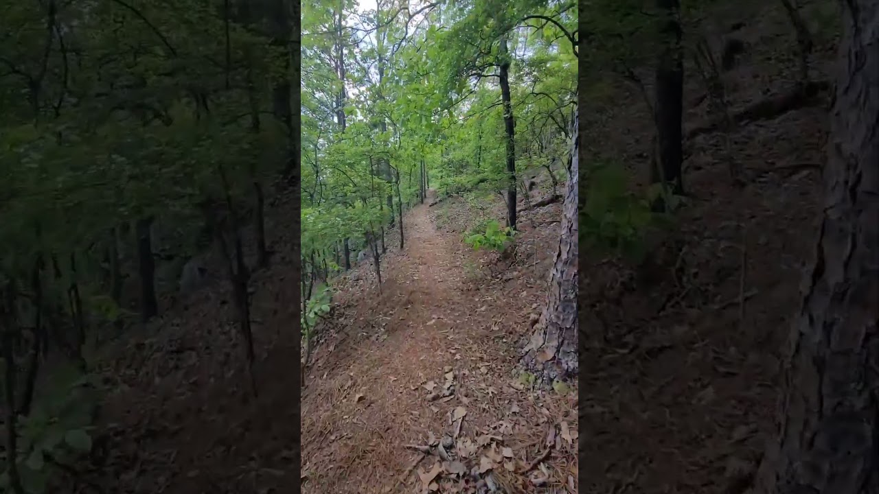 The Pine Mountain Trail in ✨️ Georgia ✨️ Mile 4 to 3 #hikingpath #nature #hiking