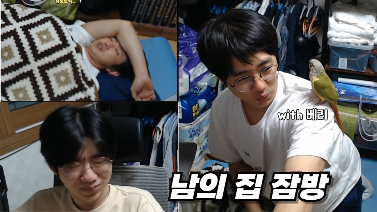 [케인&도꼬미 다시보기] 잠시 도꼬미님 집에서 잠방 // 25.04.13