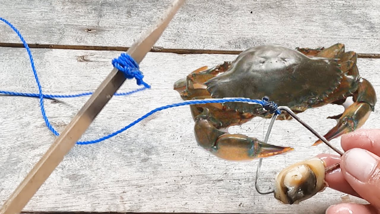 CARA MEMBUAT PANCING KEPITING YANG SIMPEL