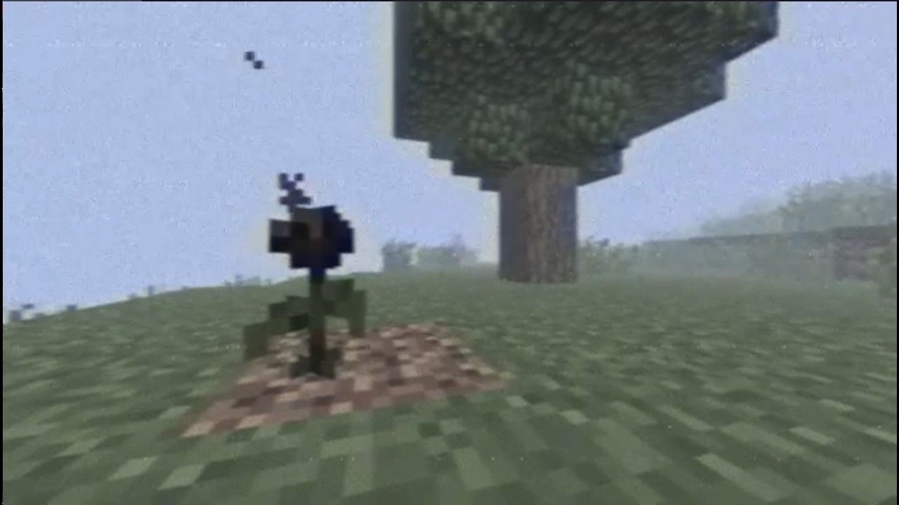 Stalker.mp4