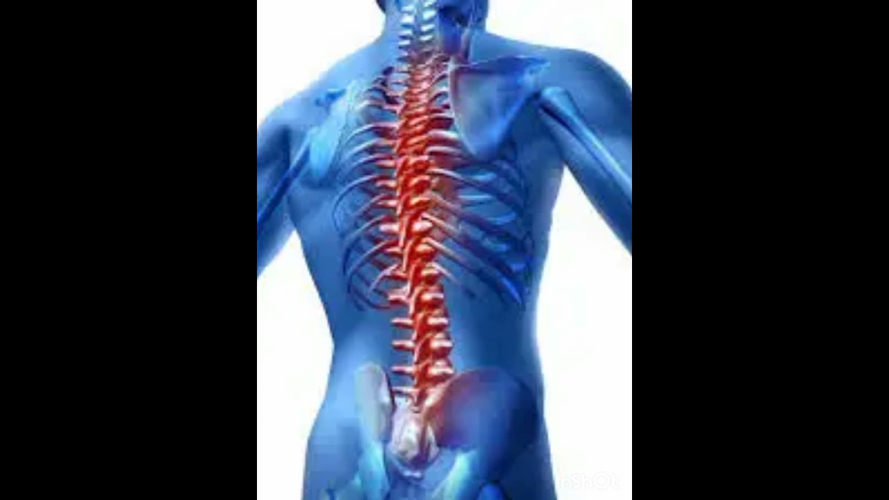 Roqyahda dhabar xanuunka Vertebral column #shorts