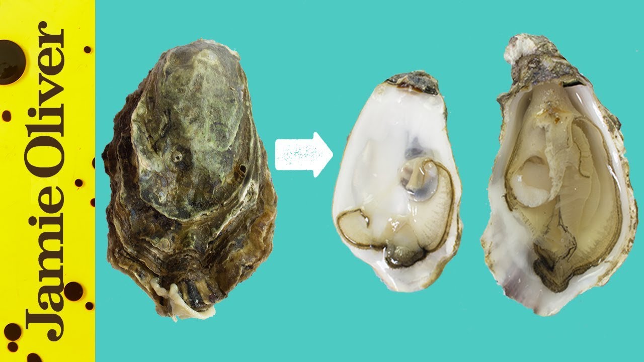 How To Open Oysters | 1 Minute Tips | Bart&rsquo;s Fish Tales