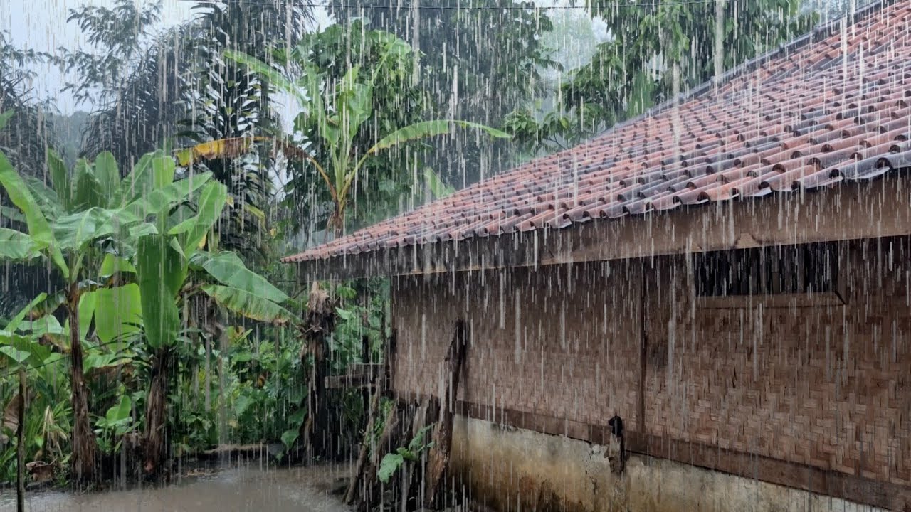 Relaxing Rain Sounds on Roof 🌧️ Real Village Ambience for Sleep