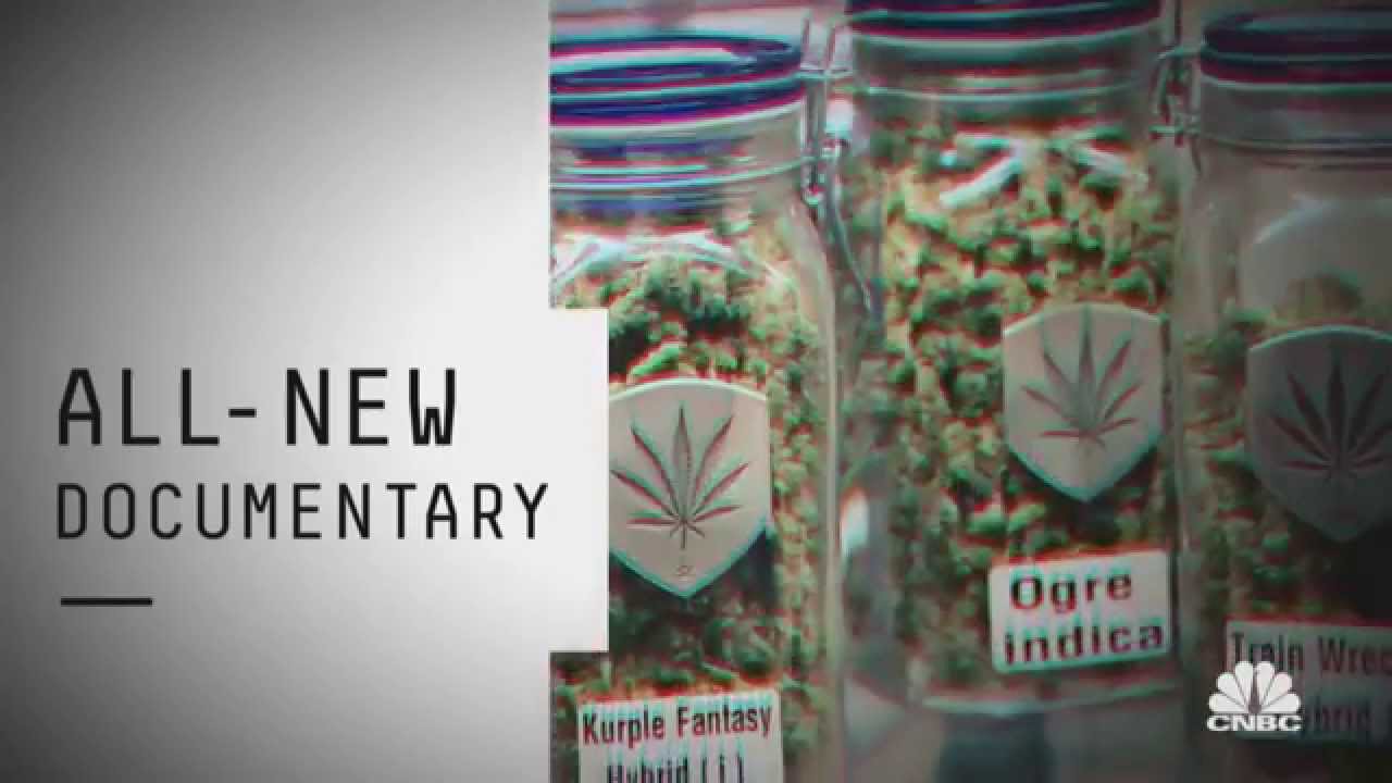 Pot Underground   Marijuana Country  The Cannabis Boom Caviar Gold