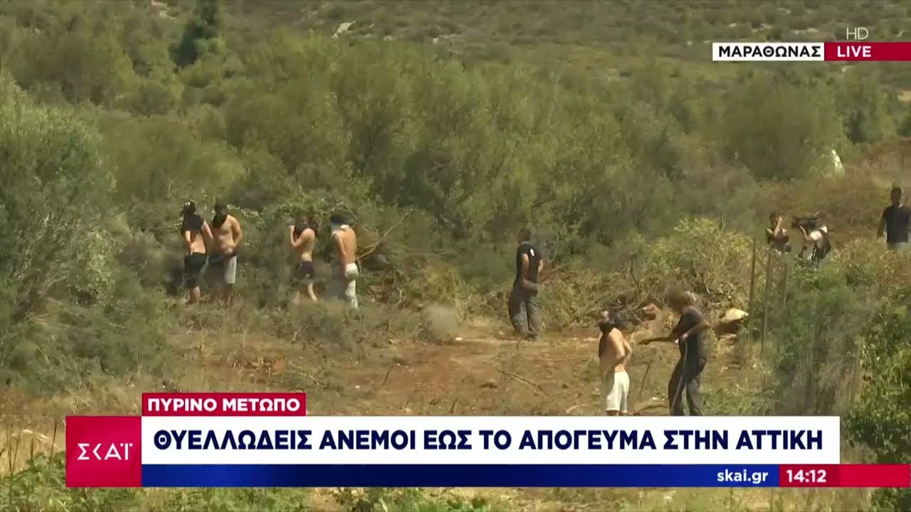 Νέο μήνυμα 112 για Νέα και Παλαιά Πεντέλη | Μεσημβρινό δελτίο | 12/08/2024