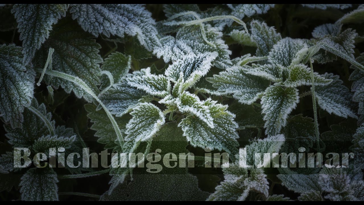 Bildbearbeitung in Luminar - Belichtungen