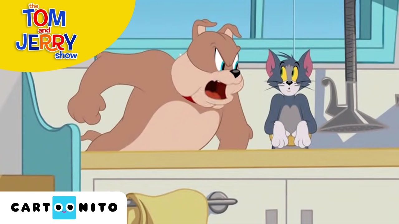 Tom ve Jerry | Köpek Karavanı | Cartoonito Türkiye