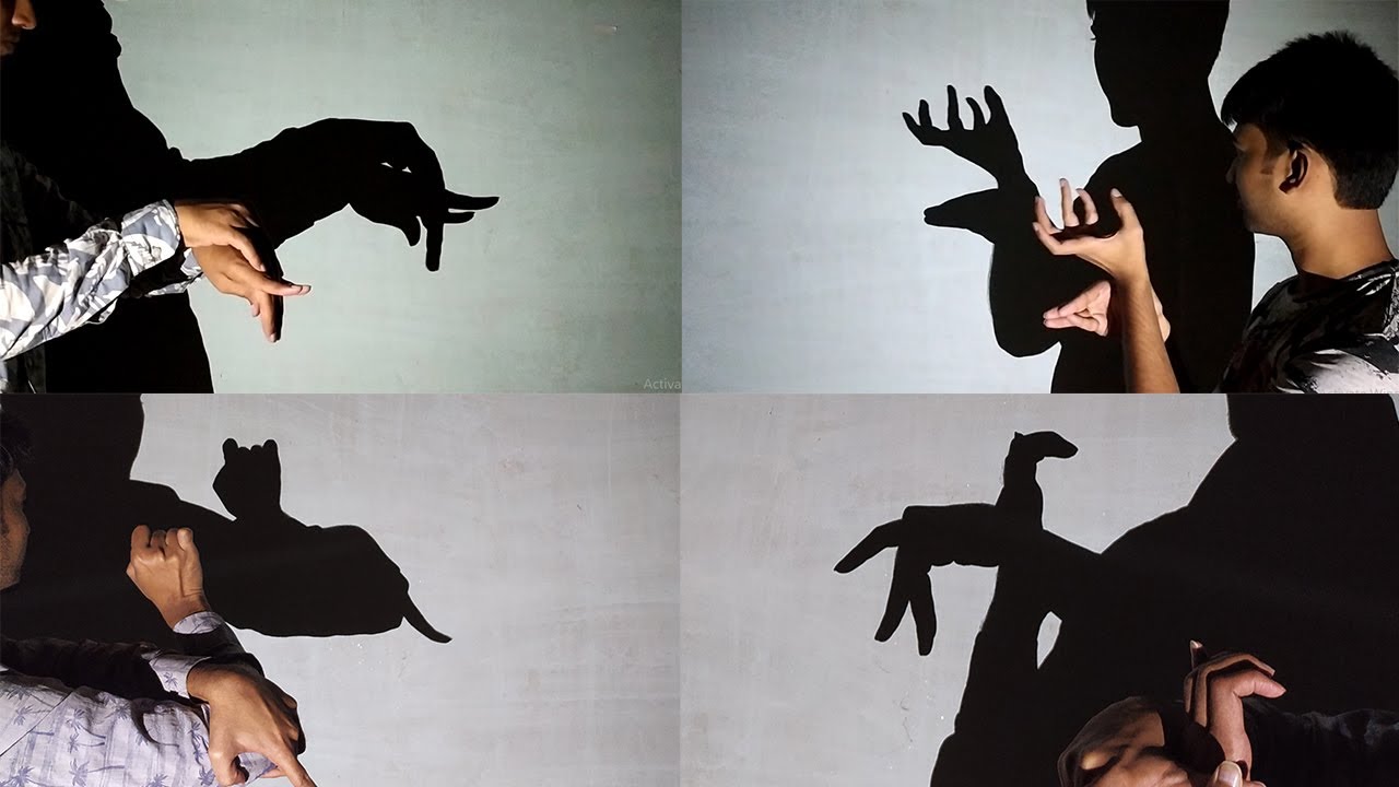 Amazing hand Shadow performance III shadowgraphy