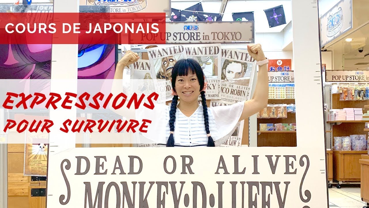 COURS DE JAPONAIS #63 Expressions utiles pour survivre au Japon PHRASES #3
