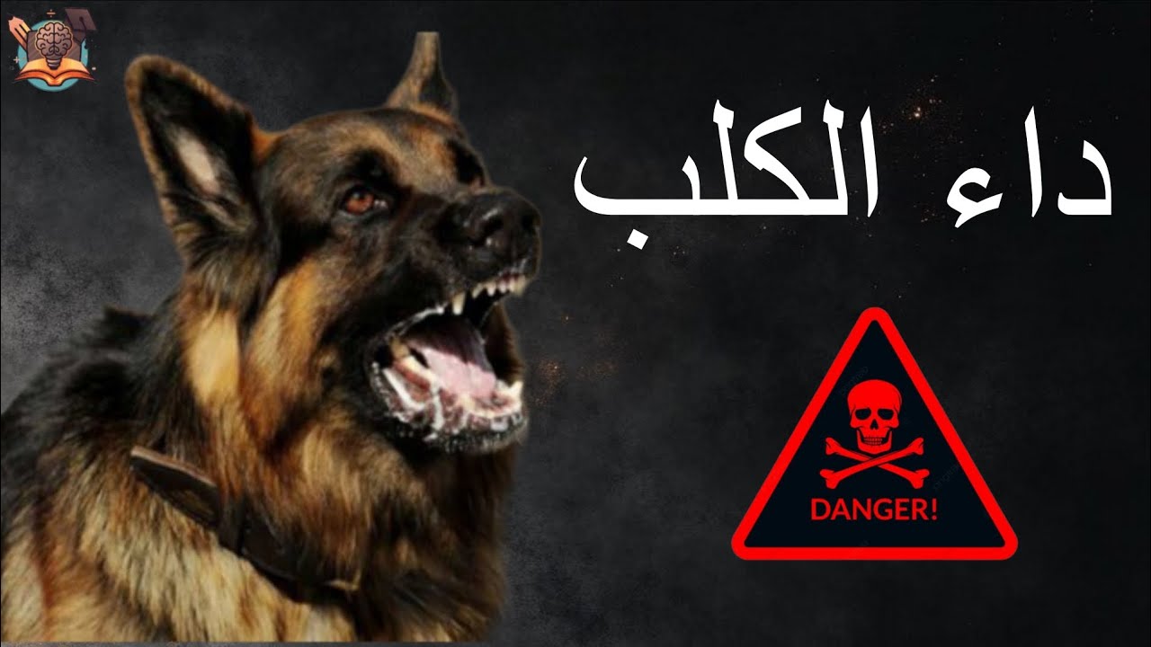 داء الكلب | خطورة مرض السُعار 