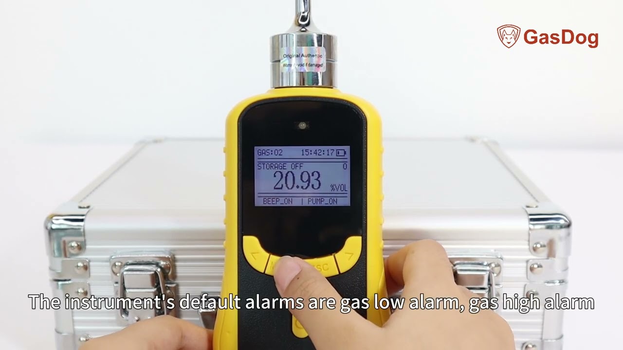 Lifesaving Portable Gas Detector for Pinpoint Leak Detection